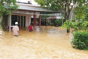 Natural disasters damage increases 9 times in first quarter over 2019