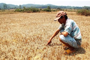 Severe drought, saline intrusion and lack of fresh water are prolonging in Mekong Delta provinces and cities