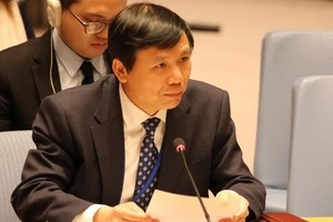 Ambassador Dang Dinh Quy, head of the Vietnamese Permanent Mission to the United Nations (Source: VNA)