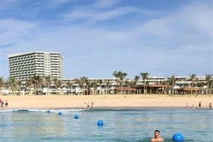 A large dolphin has paid a rare visit to the shallow waters of Cam Ranh Bay in the south central coastal province of Khanh Hoa.