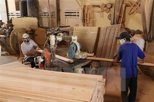 Illustrative image (Source: VNA)