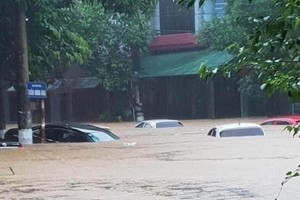 Cars are sunk into floodwater