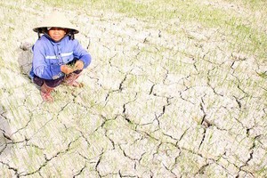 The Central region has braced for serious drought period