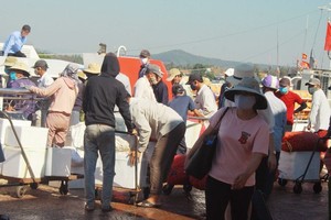 Quang Ngai increases ships picking up over 2,000 tourists from Ly Son Island