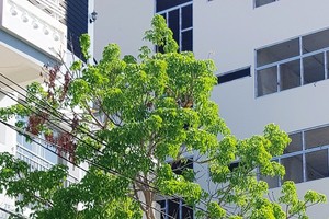 Rental home of nine Chinese illegal entry into Nha Trang City 