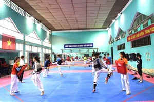 UNESCO proposes to send professional athletes to Vietnam for training