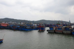Da Nang City bans all vessels going out to sea 