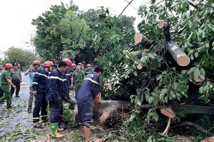 Downpour, storm-force wind rush down Central provinces 