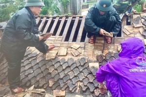 Storm No.5 brings whirlwind, torrential downpour in some places 