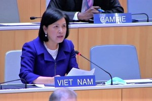 Ambassador Le Thi Tuyet Mai (Photo: VNA)