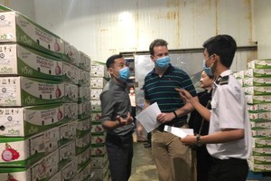 Staffs of the Vietnamese Plant Protection Department and US experts check shipments of Vietnamese fresh fruits