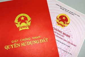 PM require HCMC to accelerate progress of granting land use right certificate