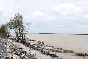 Mekong Delta declares emergency situation of sea dyke landslide