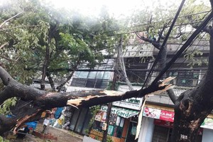  Typhoon Molave leaves 2 dead, heavy damage in Quang Ngai 