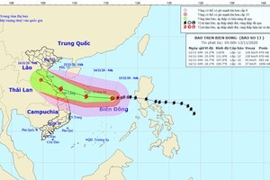 Storm Vamco is forecast to enter mainland provinces from Ha Tinh to Thua Thien-Hue