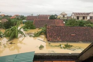 Central Relief Committee allocates additional $1.9 mln to flood-hit provinces 