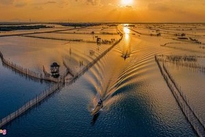 The wetland area in Thua Thien-Hue (Photo: zing.vn)