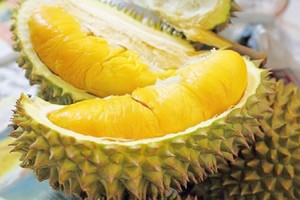 Durian, pomelo, passion fruit in row will be exported to China 