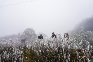 (Illustrative photo:SGGP)