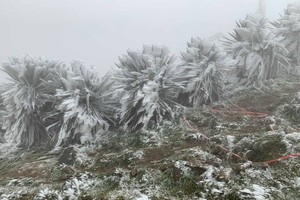 Snow-and-ice covered places (Photo: the National Hydrology Meteorology Forecast Center)