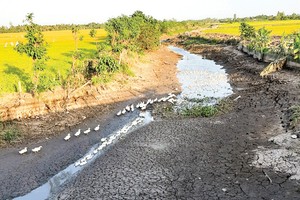 Saline intrusion to get serious in dry season 2021 