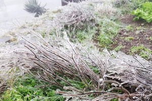 Northern region suffering from intensified gelid cold