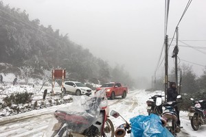 North, Central Vietnam continue facing extra freezing cold in January 