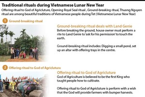 Traditional rituals during Vietnamese Lunar New Year
