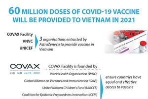 Vietnam to receive 60 million doses of Covid-19 vaccine in 2021
