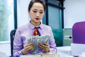 Vietnam seeks avoidance as currency manipulator in future