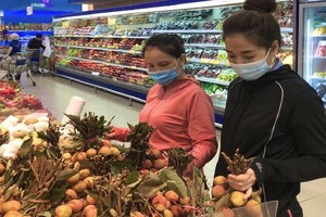 HCMC supports consumption of lychees from Bac Giang, Hai Duong