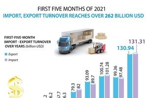 Import-export turnover surpasses US$262 billion in first five months