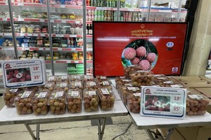 Vietnamese lychees sold at US$22 per kilogram in Paris 