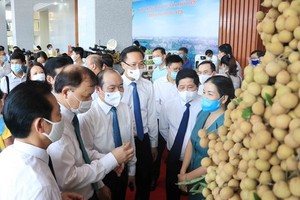  Delegates at the conference visit and enjoy Hung Yen longan. (Photo: VNA)