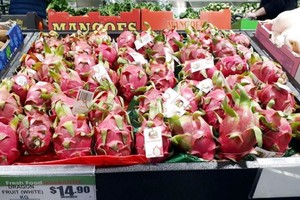 Vietnamese dragon fruit rated five stars in Australia