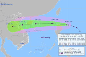 Typhoon Kompasu appears near East Sea 