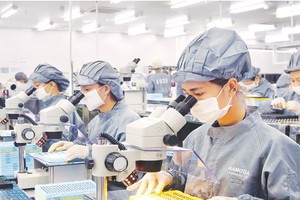 Around 150,000 employees come back to HCMC