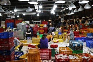 Binh Dien wholesale market operates 30 percent of capacity from November