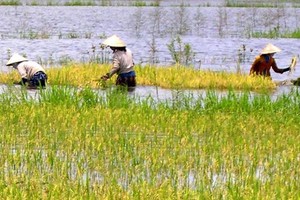 Water levels on upstream Mekong River rising 