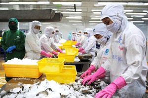 Vietnamese firms seek to promote farm produce export to Russia, EAEU