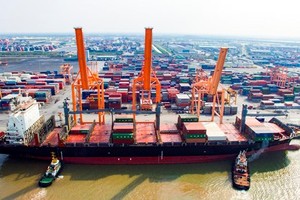 Vietnam-Malaysia-India container shipping route to be inaugurated