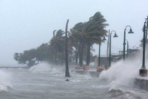 South promptly deals with storm while North faces bitterly-cold climate