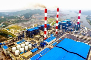 Commitment to lower coal energy uncertain