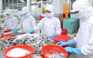 Vietnamese enterprises to expand export opportunities to Australia