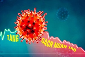 Budget revenue has exceeded estimate