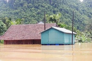 UNDP, WorldShare build more flood-resilient houses in Quang Binh