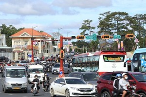 Visitors still crowd Da Lat after Tet holiday 