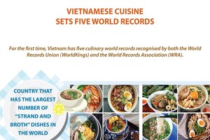 Vietnamese cuisine sets five world records