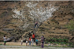 Rocky highland mountains of Ha Giang attract tourists