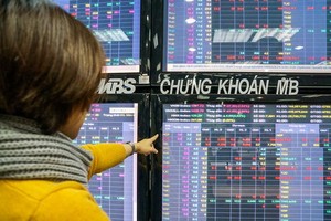 F0 investors need guidance from professionals